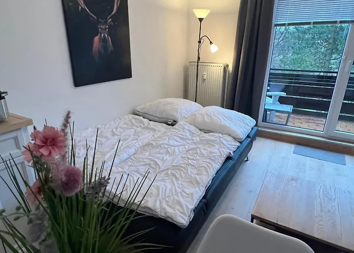 公寓 Hahnenkleer Tied 2 戈斯拉尔