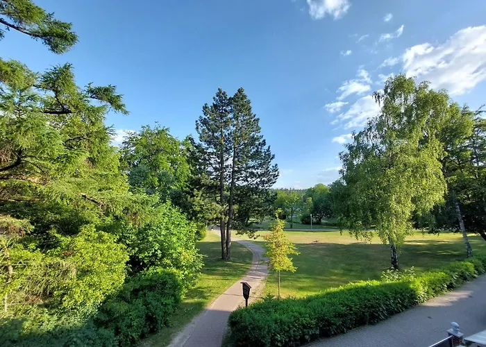 Hahnenkleer Tied 2 * 戈斯拉尔